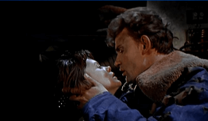 Video Image