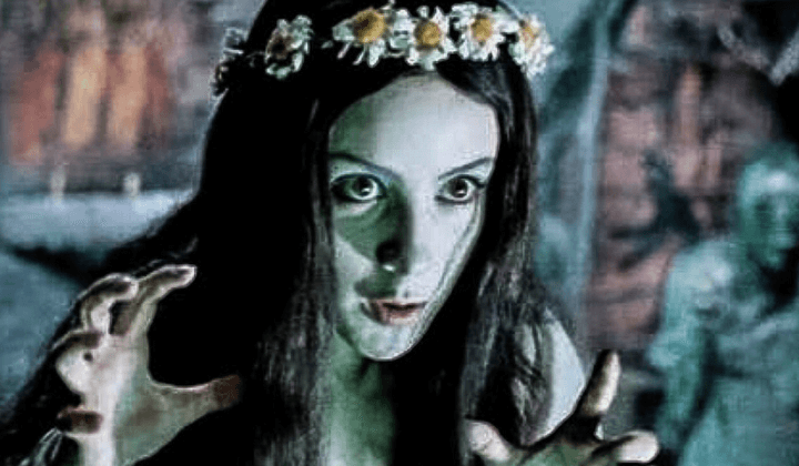 Video Image