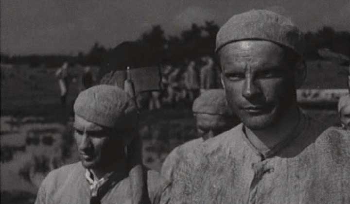 Video Image