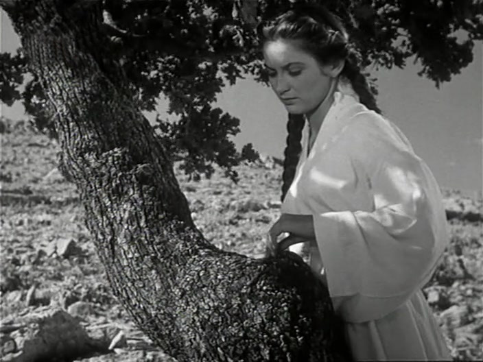 Video Image
